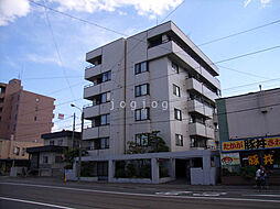 ホワイトテム 4C