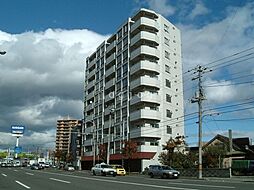 ノースビラ円山 1003