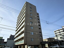 キャロット13 503