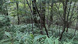 売土地　岡崎市切山町字下一色平