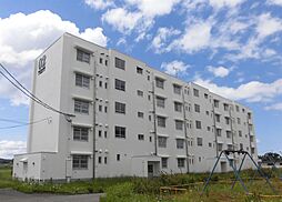 フォルクロール河辺　002号棟 306