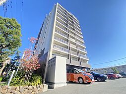 フェリス　コート 509