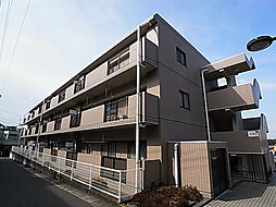 グレース松戸II 203