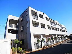 ドルチェ小金原 305