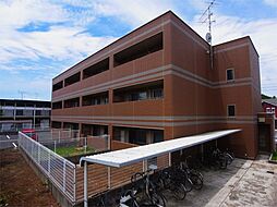 セレブリティーY 303