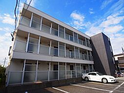 ホワイトルミエール 101