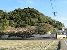 岬町和泉　保養所・グランピング向き土地