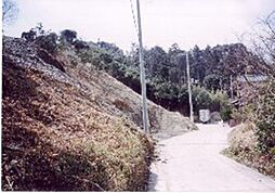 岬町和泉　高台から海望む山林