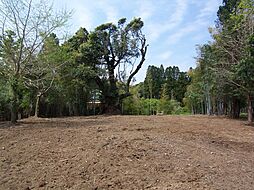 岬町鴨根　菜園、果樹栽培など出来る住宅用地