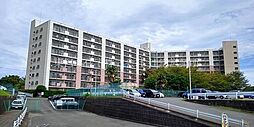 市ドリームハイツ