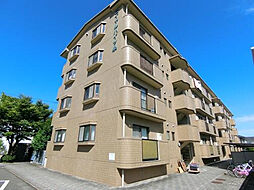 ロイヤルハイツ泉 101