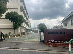 桜区白鍬