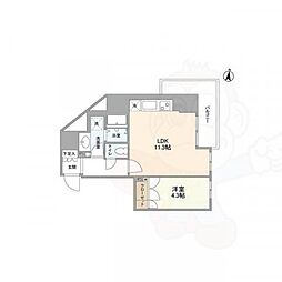 OPEN BLOOM SUMIDA YAHIRO