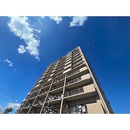 ハイラーク高崎905 905