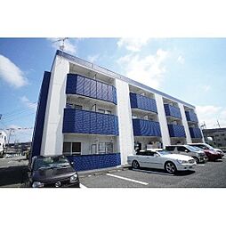 クオリティハイツ北村 305