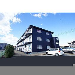 ＴＯＲＩＣＯ　ＳＱＵＡＲＥ 203