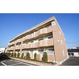 ゴールドグレイスI 301