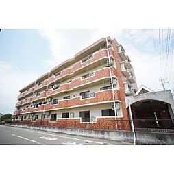 フォンティーヌ 106