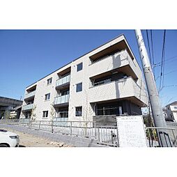 グレイスジャスティ 203