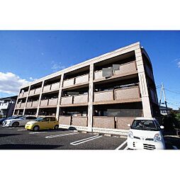 ヴィラ　アルビレオ 101