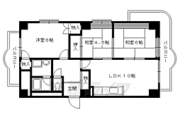 シャリマー西高瀬 9-D
