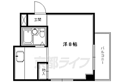 ピュアコート錦
