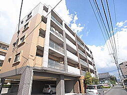 ジャンティール 305