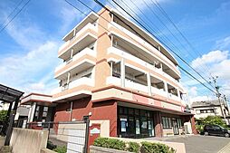 スティル・ティー 202