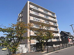 ウッディコート 301