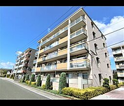フォンターナ 103