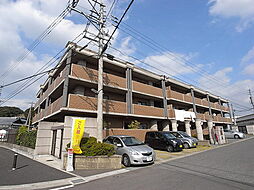 パインケープ11 301