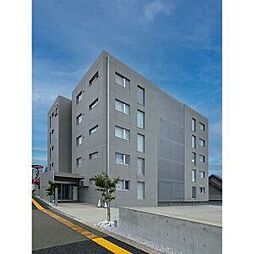 Ｓｏｌｅｉｌ Ｋｏｇａ 501