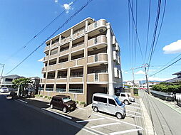 コンフォール 305