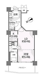 パシフィックビスタV 503