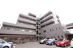 セレブ洋 204
