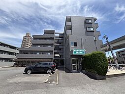 セレブ洋