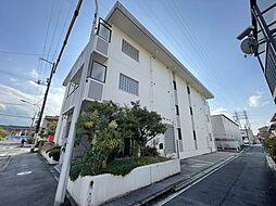 Ｍ’ｓ　ｌｅａ　Ｋｏｕｇｏｍｉｎａｍｉ