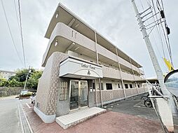 ロータスポンドA 303