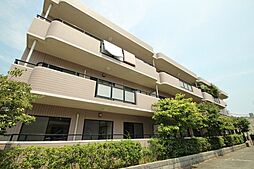 メモリーさくら