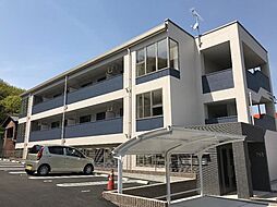 エバーグリーン