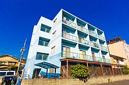 E．プリムローズ 204