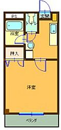 ニューグリーンS