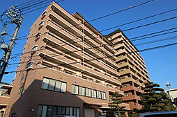 パティオ朋来居 503