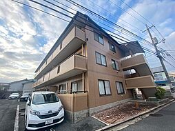 ハイム波多野II