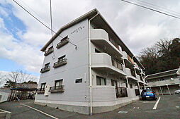 サンシャインコトブキ