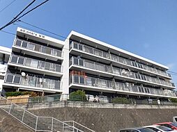 ad.one`s皆賀 104