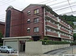 ＡＭＡＬＦＩ　ＥＳＴ