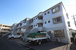 フェリスII 204