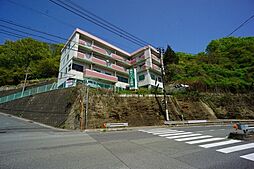 タートルズビル