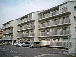 第3高木ビル 405